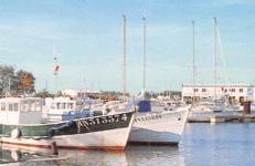 maison avec jardin et parking privé - Foto 31