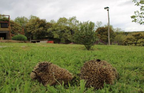 Quinta Da Devesa B1 - Foto 34
