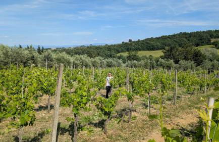 Agriturismo Amici Miei - Foto 16