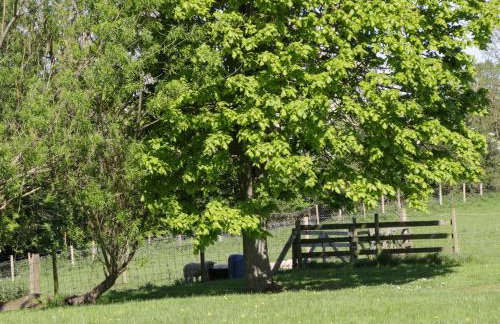 Goathland Cottage - Photo 47