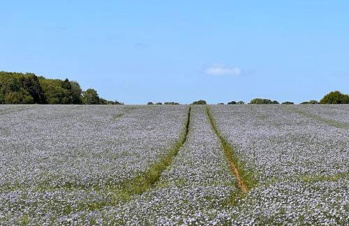 Grants Cottage, Brackley - Foto 30