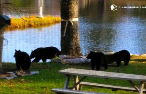 Charming Waterfront Cottage Rental near Topsmead State Forest, Connecticut - Foto 7