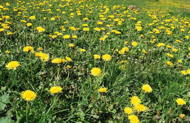 Casa Rural Haitzetxea - Foto 106