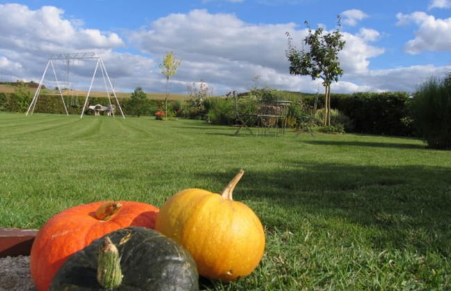 Château de Ribourdin - Foto 39