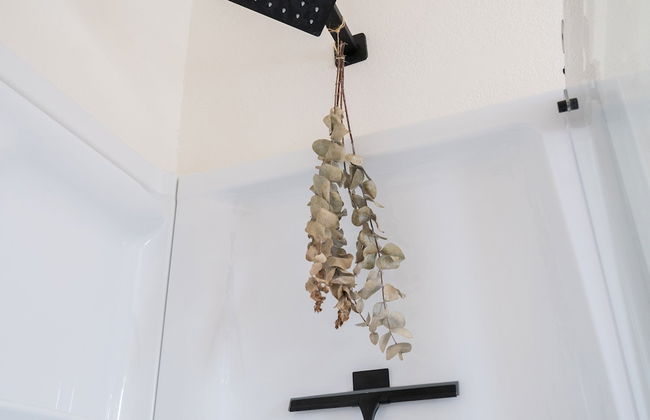 Sunfit Dreams - Photo 37