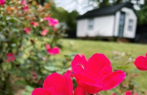 The Treasure House - Foto 11