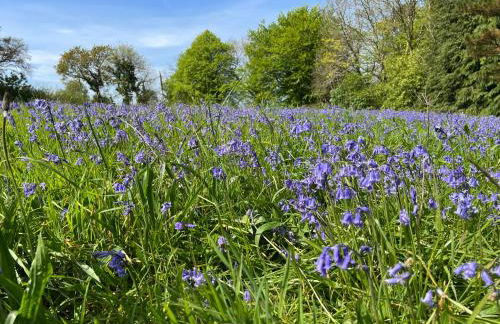 Hollyhocks Holiday Home- 2 bedroomed ground floor apartment sleeps 5 - Foto 30