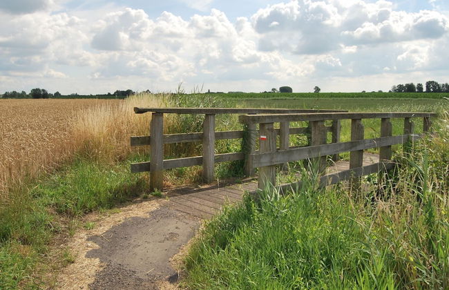 Country House in Sint Laureins Near Het Zwin - Foto 24