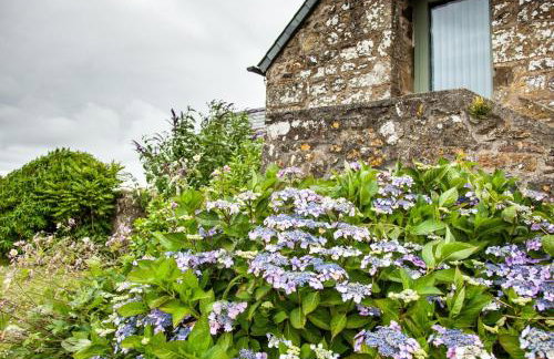 Sychpant Barn - Foto 15