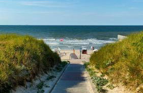 Hund im Glück - Foto 11