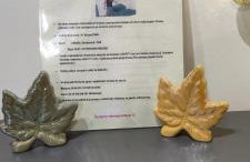 Apartament Pod Klonem - Foto 7