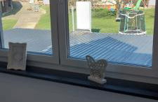 Große tolle 4 Zimmer Ferienwohnung im Herzen des Odenwaldes - Foto 39