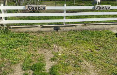 LES MAISONS DU PATY - Foto 6