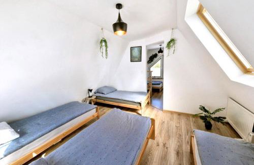 Wzgórze w Cieniu Lasu - Photo 4