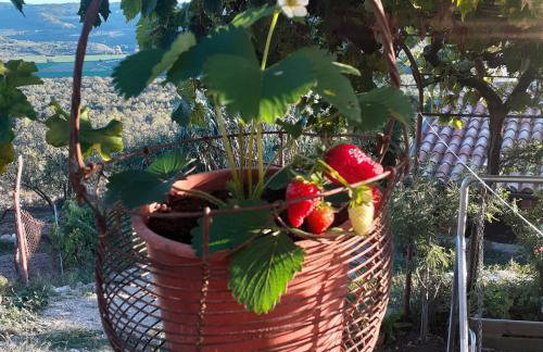 Motovun Bellevue - amazing view, comfortable - Foto 46