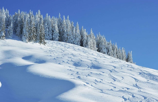Chalet in Saalbach Near Ski Lift - Foto 25