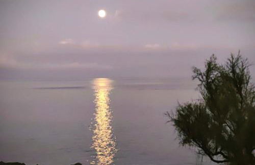 Barrocas Villas Azores - Photo 4