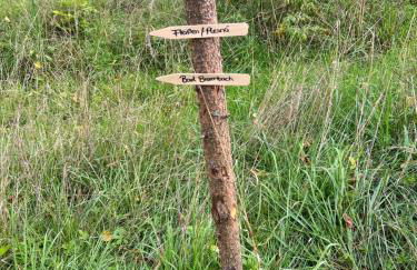 Grüne Villa - Foto 53