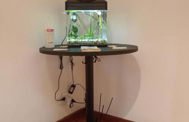 A&C Talenti Diamond - Foto 21