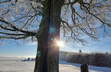 Premium Vulkaneifel Chalet - Foto 23