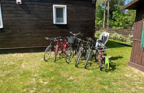 Nasz Dom Pilchy - Foto 14