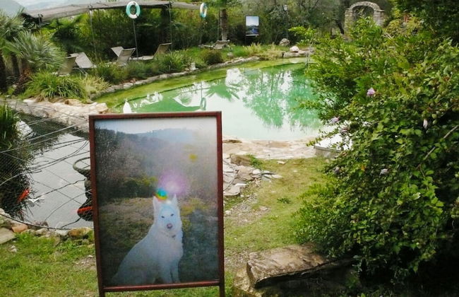 Casa Juliana Comfortable Holiday Residence - Photo 5