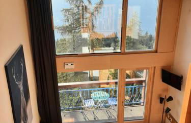 RESIDENCE LE RUITOR Duplex dernier étage vue panoramique classé 4 Cristaux Paradiski - Foto 9