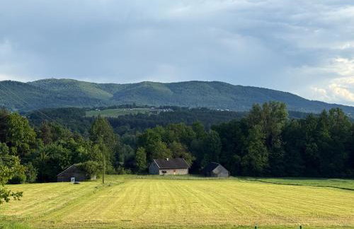 Słoneczny domek - Foto 55