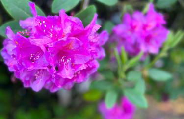 Villa GiNa Apartement - Foto 23