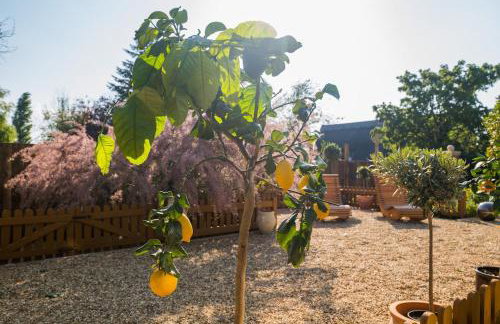 Huge 8 Bed Manor House with Hot Tub, Cinema Room, Games Room - Foto 48