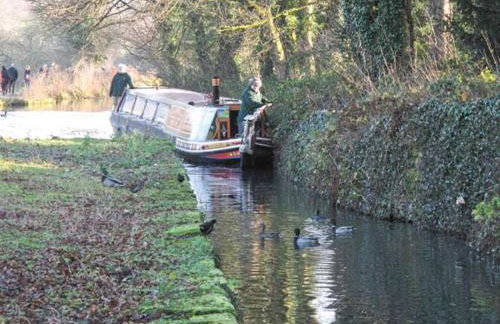 Bobbin Cottage - Foto 12