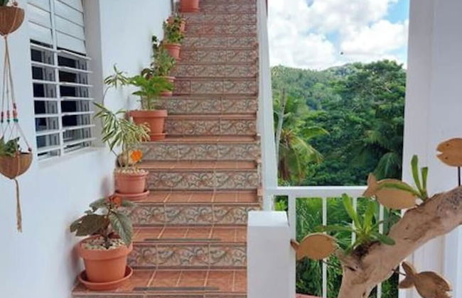 Great Palm View - Apartment 3 in Villa Coconut - Photo 12