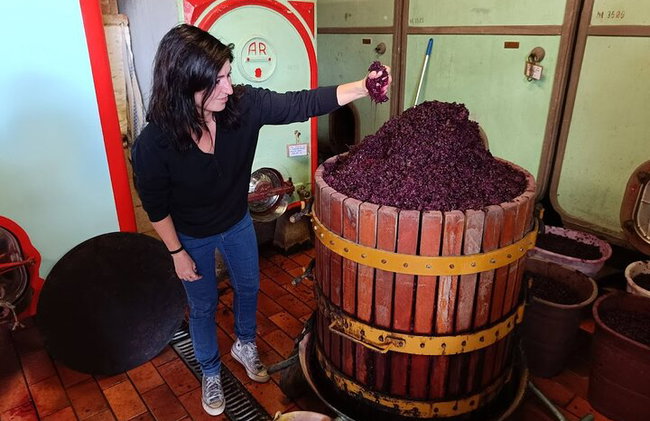 "Recorre las onduladas colinas de Chianti" con almuerzo y degustaciones de vino - Foto 39