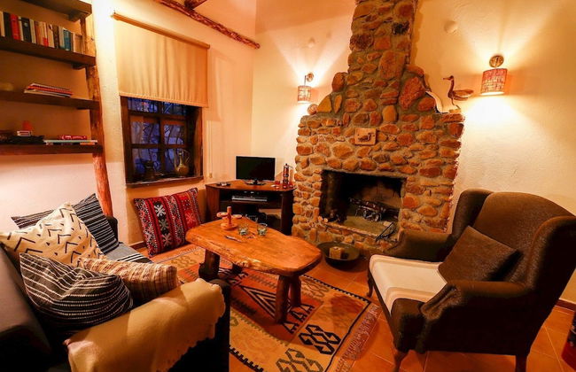 Terra Punto - Photo 2