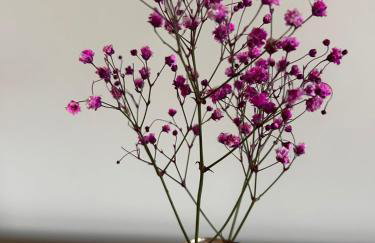 Domki Gorąca Bania - Foto 29