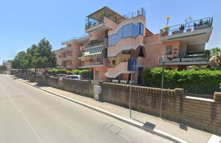 Orchidea Borghese - Foto 29