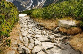 Willa Rąbanisko z sauną fińską - Foto 59