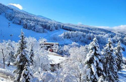 STUDIO plein sud "Les Arolles" Balcon de VILLARD DE LANS - Foto 1