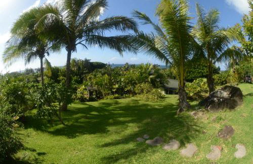 Kalani Hawaii Private Lodging - Foto 10