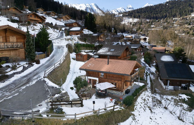 Ecureuil noir - Foto 37