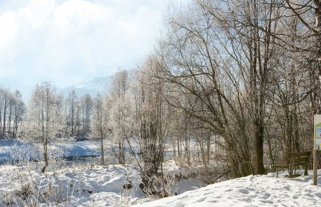 Traditional Bungalow in Kitzbuhel Alps - Foto 29