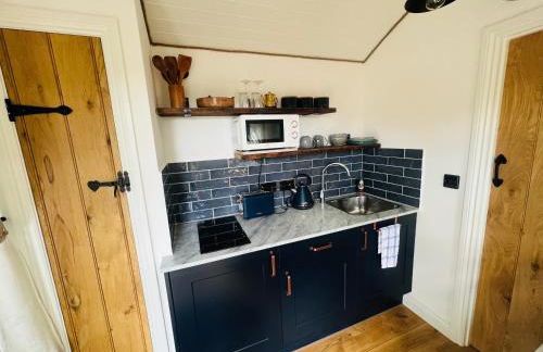 Romantic Shepherds Hut with Hot Tub in The Heart of Snowdonia - Foto 14