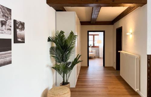 Schwarzwald Residenz - Villa Hubertus - Foto 19