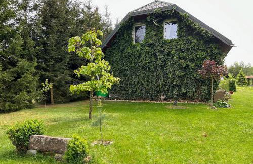 Pucówka na skraju Puszczy Białowieskiej - Foto 1