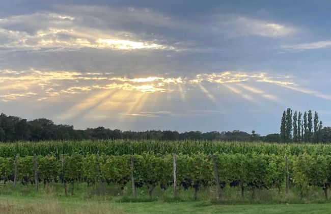 Holiday Home in Netherlands With Private Pool - Photo 41