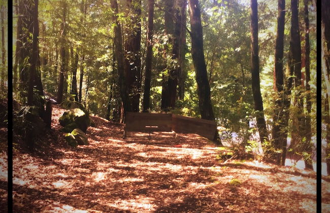 Redwoods River Resort - Foto 48