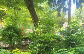 Apartament Przy Parku - Foto 8