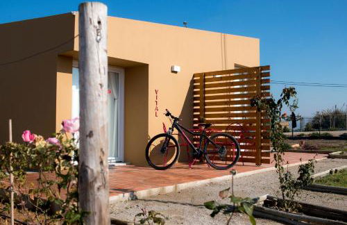 Entre Vinhas & Mar - Foto 65