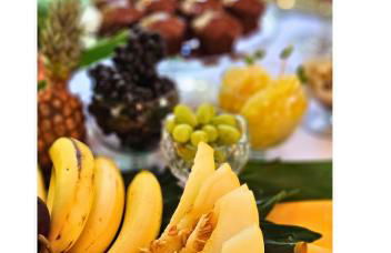 Jardim Secreto - Itaipava - Foto 58