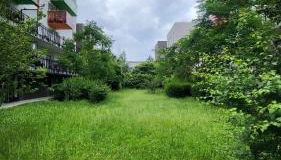 Home Sweet Home - Foto 2, Garden